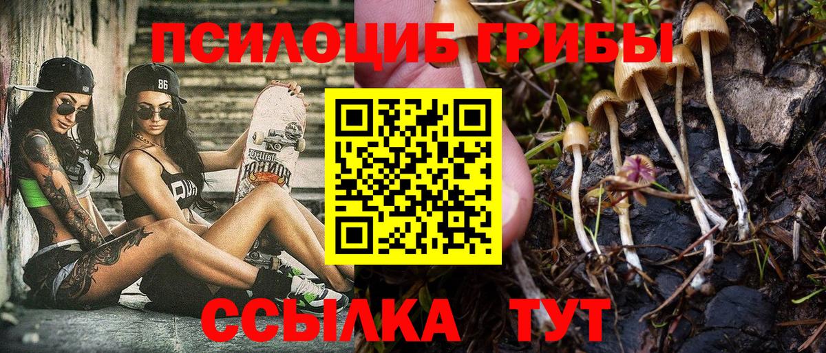 Галлюциногенные грибы Cubensis Уссурийск
